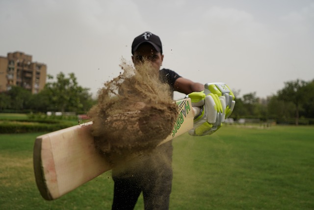 Exploring the Cultural Significance of IPL Matches in India