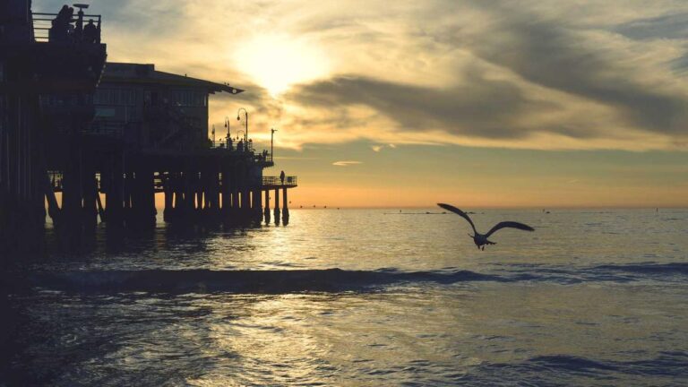 Why Gold365 Is Bettors First Choice